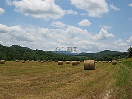 原野,干草,天空