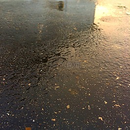 雨,路面,濕