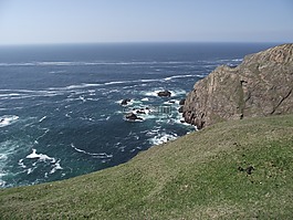 島,愛爾蘭,海洋