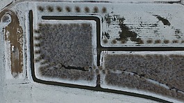 冬天,雪,景觀