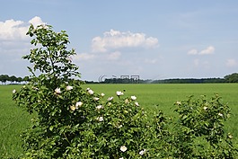 性質(zhì),區(qū)域,樹