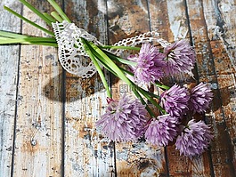 韭菜,开花,韭菜开花