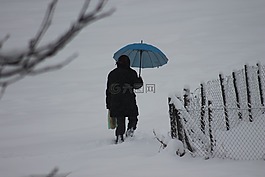 冬天,女子,戶外