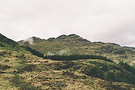 自然,景觀,山