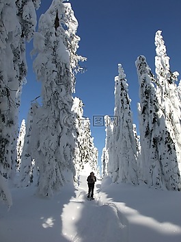 雪,冬季,冷