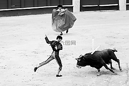 人,男子,公牛