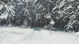雪,冬天,白