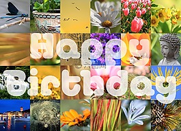 生日,生日快樂,地圖