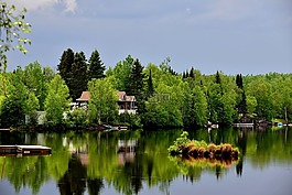 景觀,湖,夏季