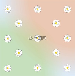 雏菊,设计,模式