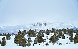 雪,冬天,白