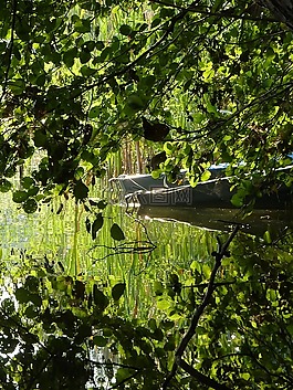 湖,勃蘭登堡,w