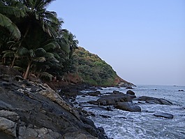 岸,海,阿拉伯