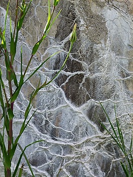 水泥,墙,淋