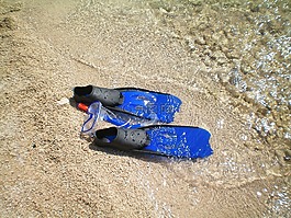 散熱片,海,浮潛