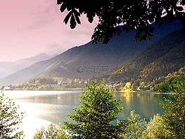 水,湖,樹
