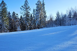 冬季,雪,山