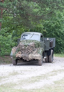 卡車,軍事,森林