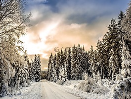 雪,冬天,白