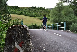 橋,路,籬笆