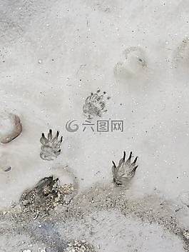 足跡,沙,自然