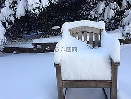 雪,后院,冬天