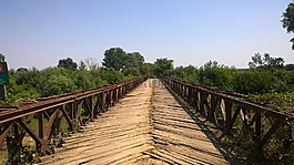 橋梁,河,夏