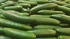 黃瓜,蔬菜,綠色