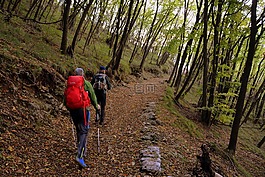 游覽,徑,山