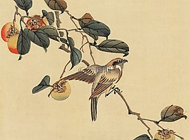 釀酒,日本,水彩