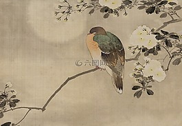 釀酒,日本,水彩