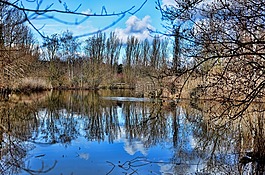 巴塞爾,綠色公園80,幾點思考