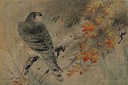 釀酒,日本,水彩
