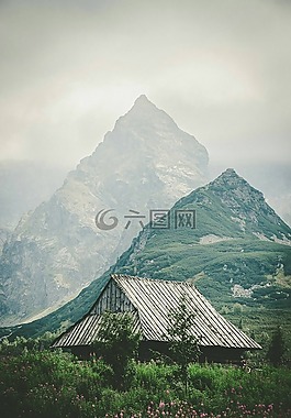 山,旅行,全景