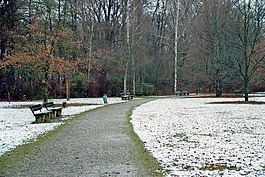 公園,離,遠足徑