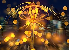 明星,一品紅,光