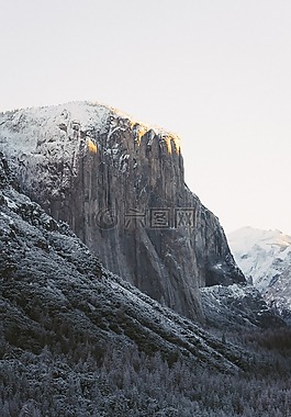 自然,樹,山