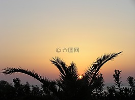 日落,余輝,傍晚的天空