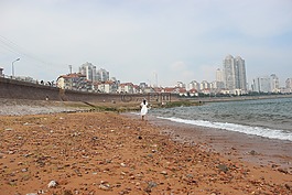 海洋,海景,大海