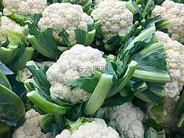 蔬菜,花椰菜,十字花科