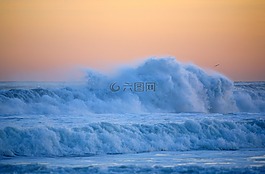 太平洋,波,沖浪