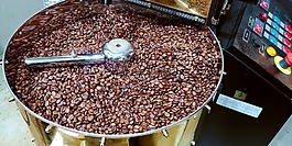 烤豆,帽子從來,豆
