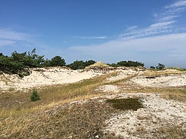 景觀,波羅的海,海灘