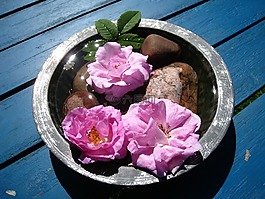 鮮花,碗,安排