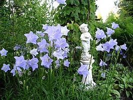 雕像,男孩,鮮花