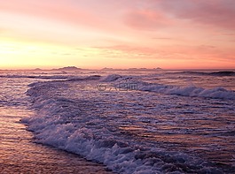 太平洋,波,沖浪