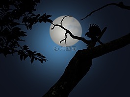 夜,月光,黑暗