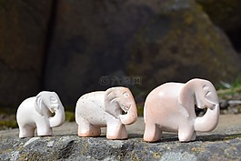 大象家族,走,野生动物园