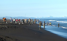 太平洋,波,沖浪