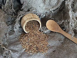 谷物,老,葡萄收获期